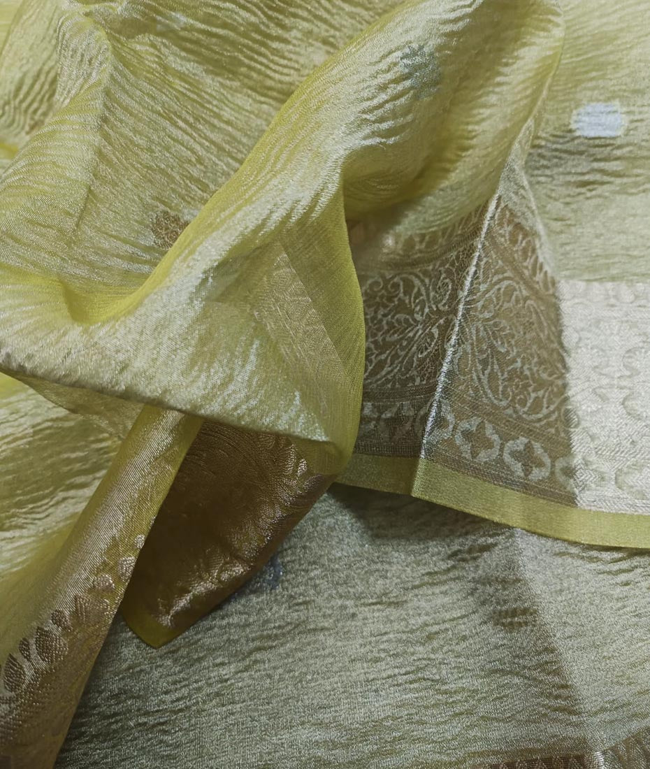 Tissue Saree | Peepal Clothing