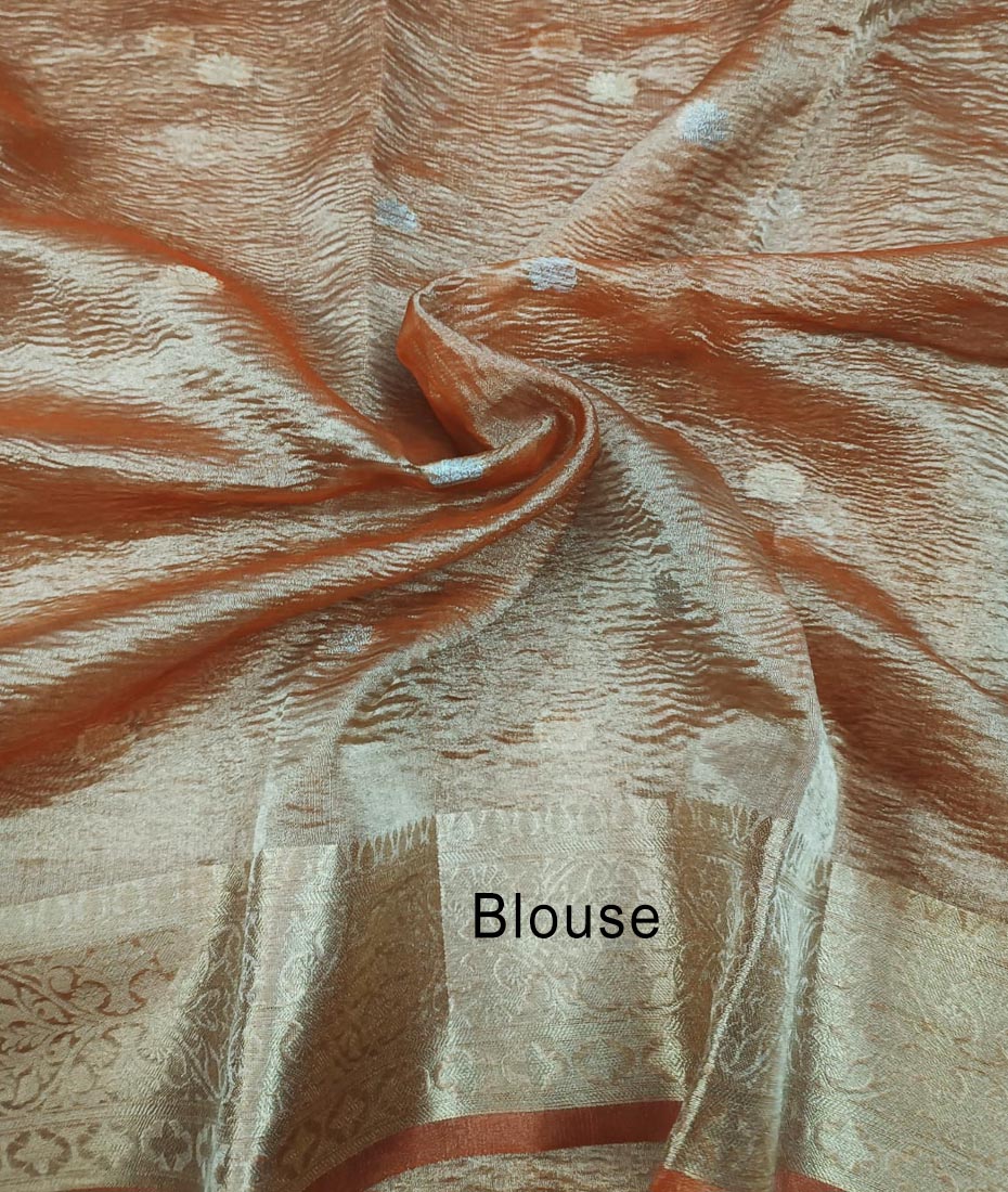 Tissue Saree | Peepal Clothing