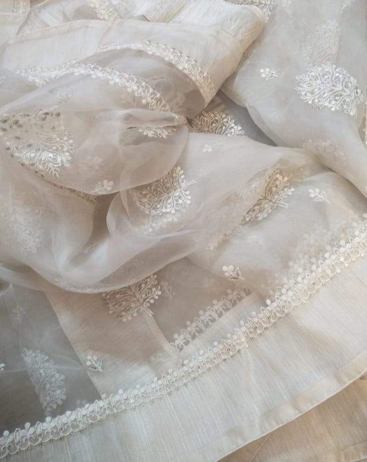 Organza saree www.peepalclothing.com